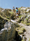 website508009.jpg