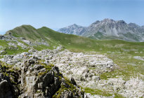 website508010.jpg