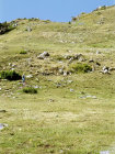 website508051.jpg