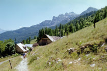 website509003.jpg