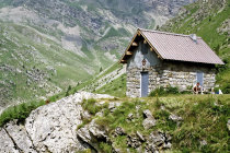 website509006.jpg