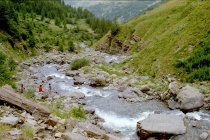 website509048.jpg