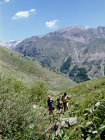 website509049.jpg