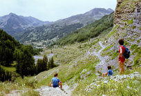 website509050.jpg