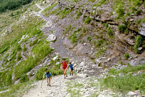 website509051.jpg