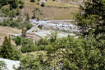 website509055.jpg
