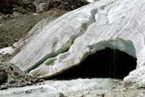 website510005.jpg