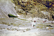 website510042.jpg