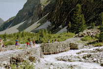 website510048.jpg