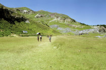 website511031.jpg