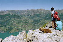 website511035.jpg