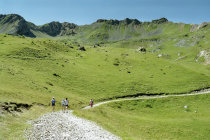 website511040.jpg