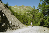website511041.jpg