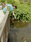 website514039.jpg