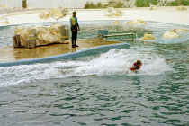 website515037.jpg