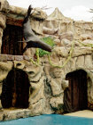 website515040.jpg