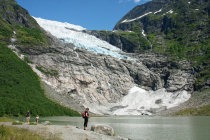 website542046.jpg