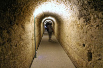 website557003.jpg