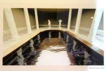 website557045.jpg