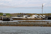 website567042.jpg
