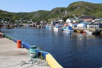 website573002.jpg