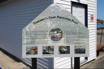 website573041.jpg