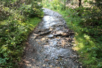 website574052.jpg