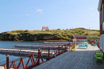 website577031.jpg