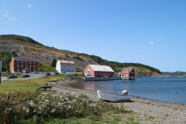 website577032.jpg