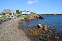 website577037.jpg