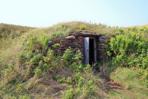 website578053.jpg