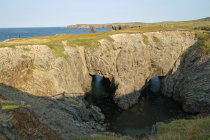 website579049.jpg
