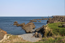 website579050.jpg