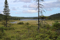 website580005.jpg