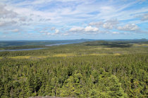 website580045.jpg