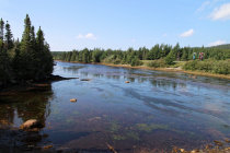 website580053.jpg