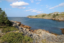 website581033.jpg