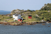 website581037.jpg