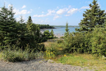website581041.jpg