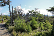 website582031.jpg