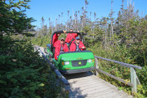 website582033.jpg