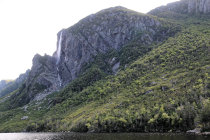 website583003.jpg
