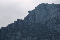 website583004.jpg