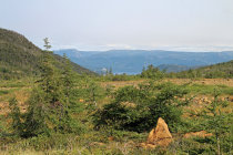 website584002.jpg