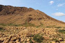 website584042.jpg