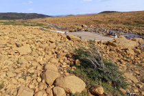 website584044.jpg