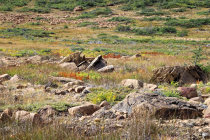 website584048.jpg