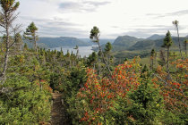 website585032.jpg