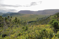 website585033.jpg