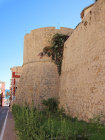 website589044.jpg